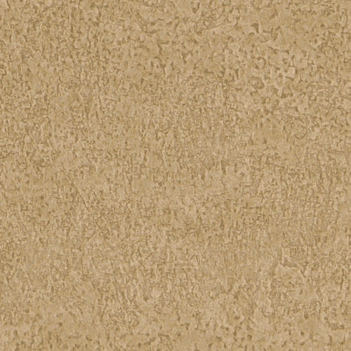 RE55004_1 2