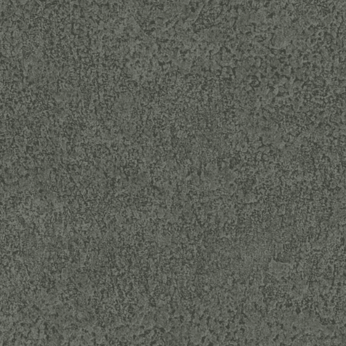 RE55006_1 2