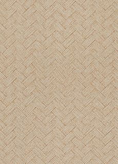 SP2604（旧品番：SP9774）　50m糊付